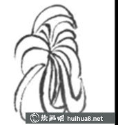 白描菊花繪制技巧