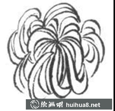 怎么繪制白描菊花