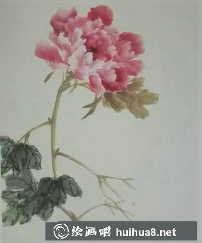 怎么繪制牡丹花《獨冠群芳》