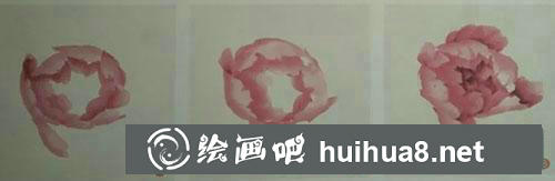 牡丹花