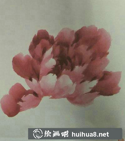 怎么繪制牡丹花頭（初開側(cè)面）