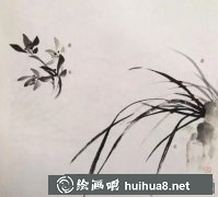 國畫蘭花畫法步驟詳解