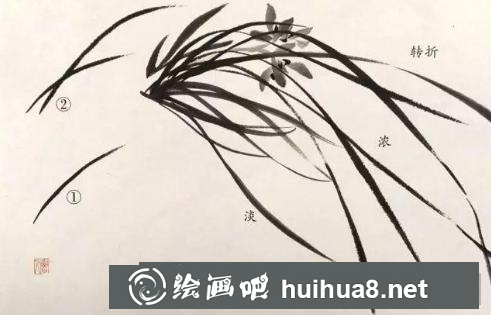 國(guó)畫蘭花的畫法 國(guó)畫蘭花的畫法