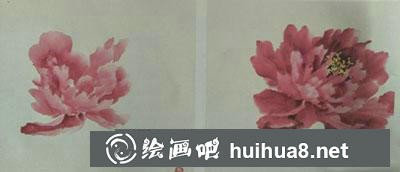 國畫牡丹花頭(半開側面)教程