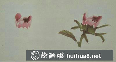 牡丹花苞繪制步驟三