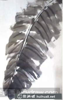 國(guó)畫(huà)寫意芭蕉葉