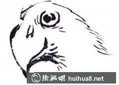 國畫教程鸚鵡畫法入門