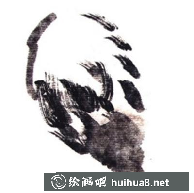 鸚鵡的畫(huà)法