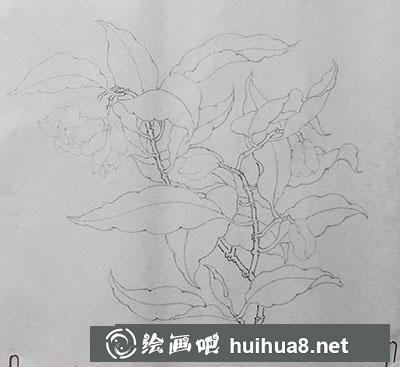 怎么臨摹《夜合花圖》 怎么臨摹《夜合花圖》