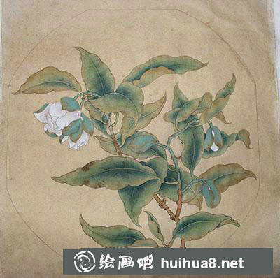 怎么臨摹《夜合花圖》 怎么臨摹《夜合花圖》