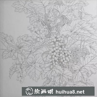 國畫教程-葡萄的繪制方法