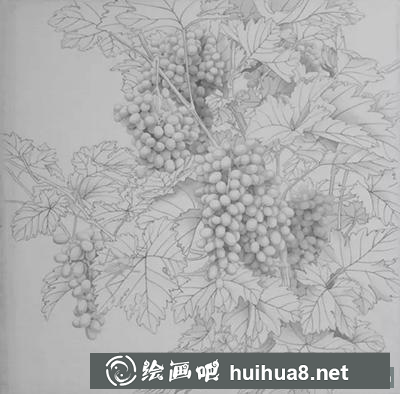 國畫教程-葡萄的繪制方法