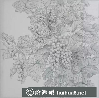 國畫教程-葡萄的繪制方法