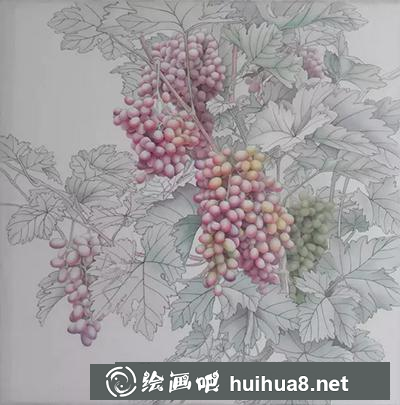 國畫教程-葡萄的繪制方法