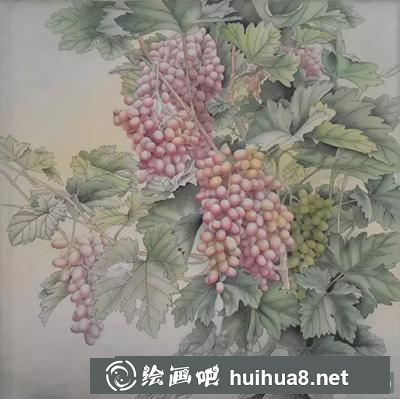 國畫教程-葡萄的繪制方法
