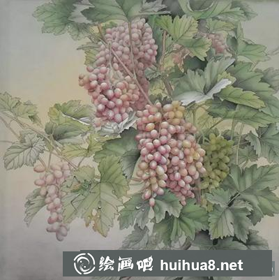 國畫教程-葡萄的繪制方法