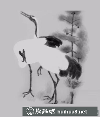 松鶴延年的畫(huà)法