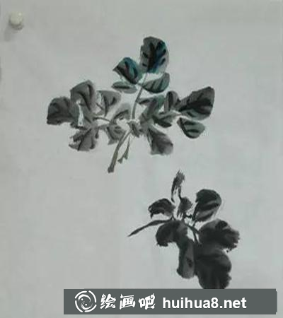 國(guó)畫(huà)藤蔓