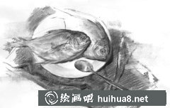 一組素描靜物臨摹圖片賞析