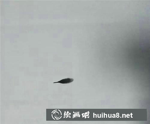 齊白石大蝦 齊白石大蝦