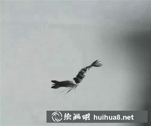 齊白石大蝦 齊白石大蝦