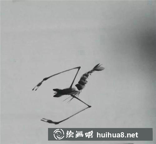 齊白石大蝦 齊白石大蝦