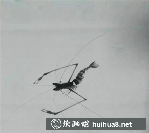 齊白石大蝦 齊白石大蝦