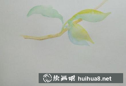 櫻桃的畫(huà)法 櫻桃的畫(huà)法