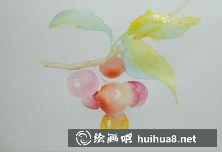 櫻桃的畫(huà)法 櫻桃的畫(huà)法