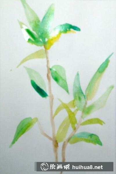 桂花的畫法
