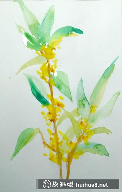 桂花的畫法