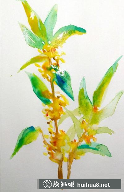 桂花的畫法