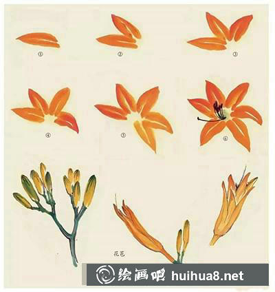 國畫教程怎么畫萱草和海棠花