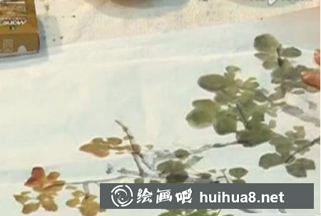 月季的畫法