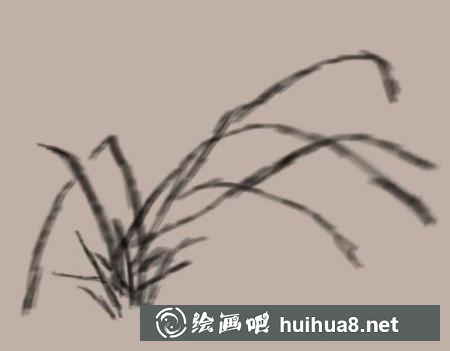 蘭花的畫法