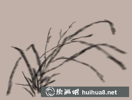 蘭花的畫法