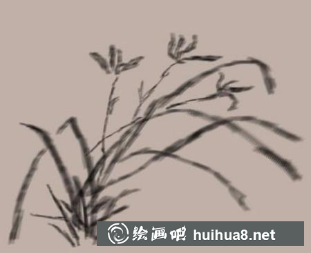 蘭花的畫法