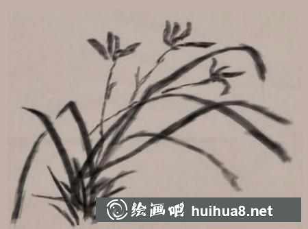 蘭花的畫法