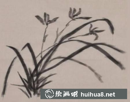 蘭花的畫法