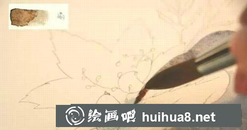 松鼠水彩畫過程