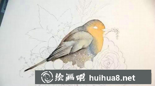 松鼠水彩畫過程