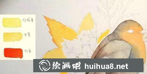 松鼠水彩畫過程