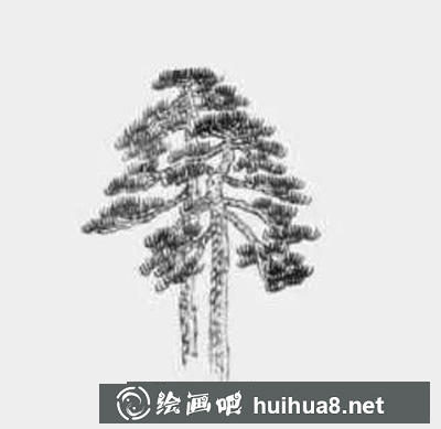 國(guó)畫教程：怎么畫松樹
