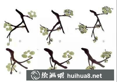 國(guó)畫教程：梅花常見(jiàn)的幾種表現(xiàn)方法