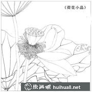 工筆畫荷花小品繪制步驟詳解