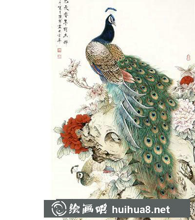 工筆畫教程：怎么畫《國色天香翠羽生輝》