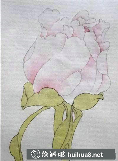 工筆畫教程：怎么畫牡丹花苞