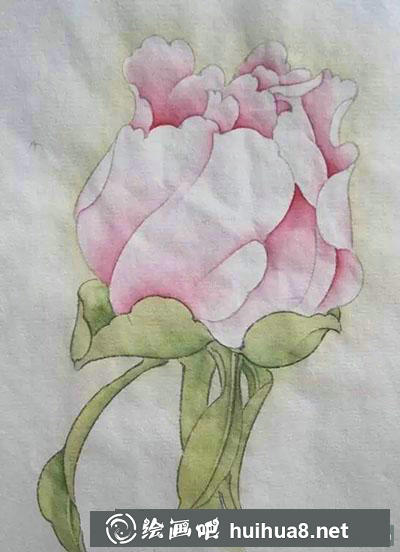 工筆畫教程：怎么畫牡丹花苞
