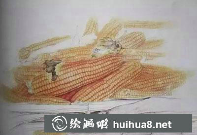 怎么給玉米設色