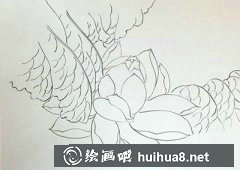 工筆畫荷花教程《暖夢春溫》步驟詳解